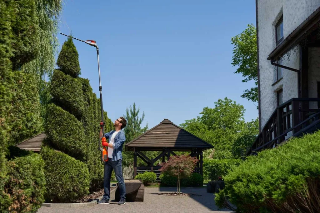 Commercial Landscaping Contractors Phoenix