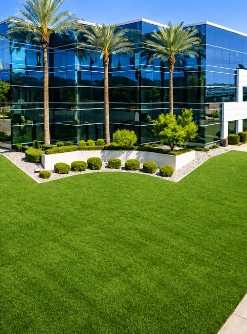 Phoenix Commercial Landscape Maintenance