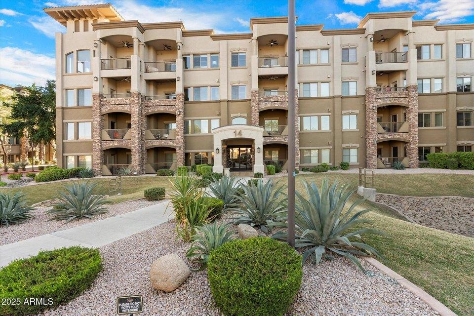 Commercial Landscape Renovation Phoenix