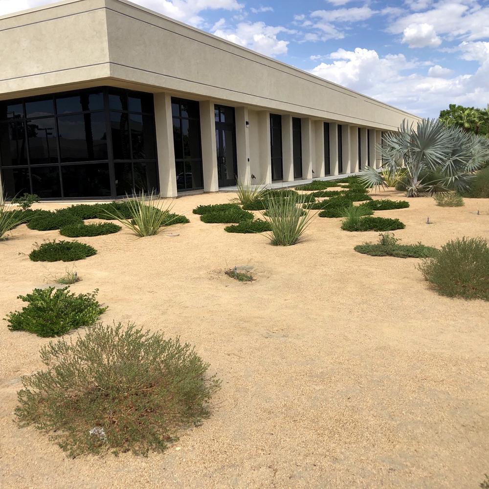 Commercial Landscaping Maintenance Services Phoenix