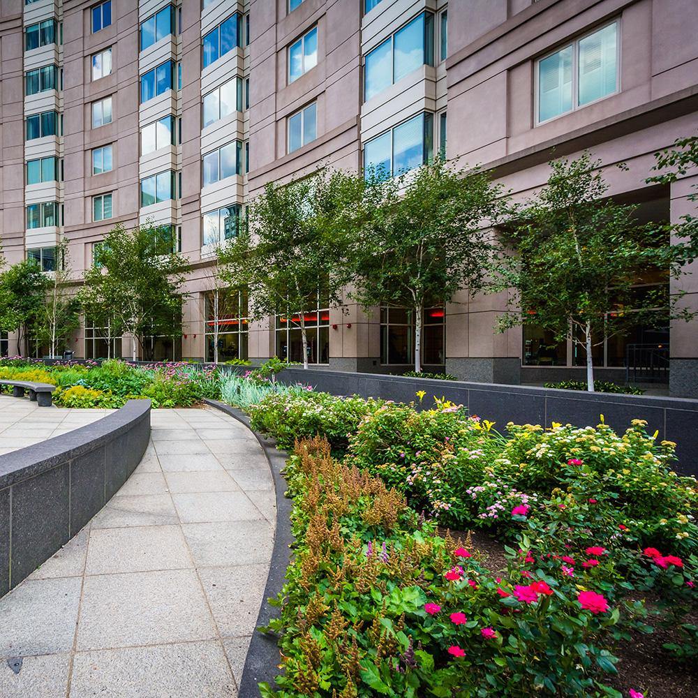 Commercial Green Space Maintenance Phoenix